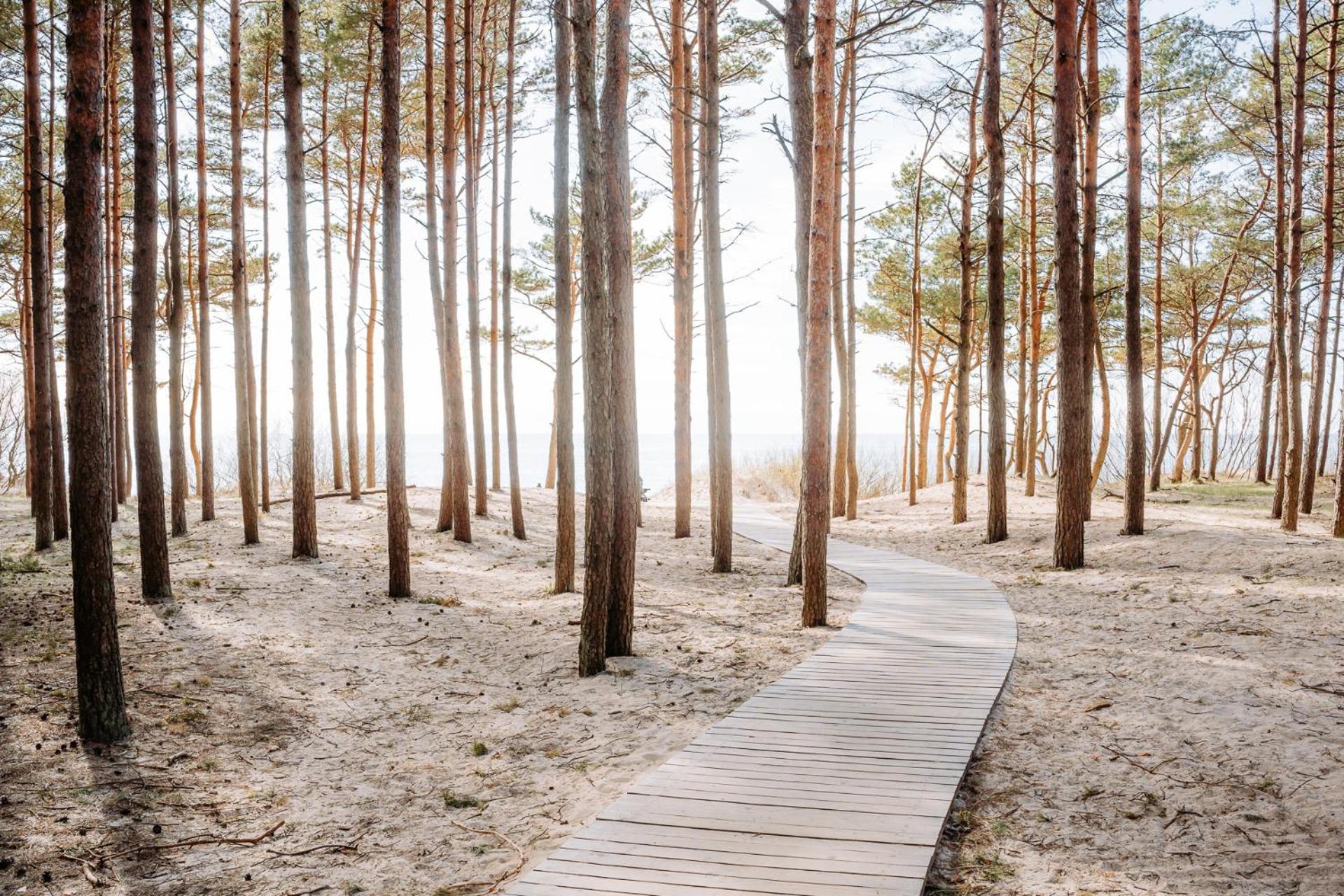 Hill Palanga & Spa Екстер'єр фото